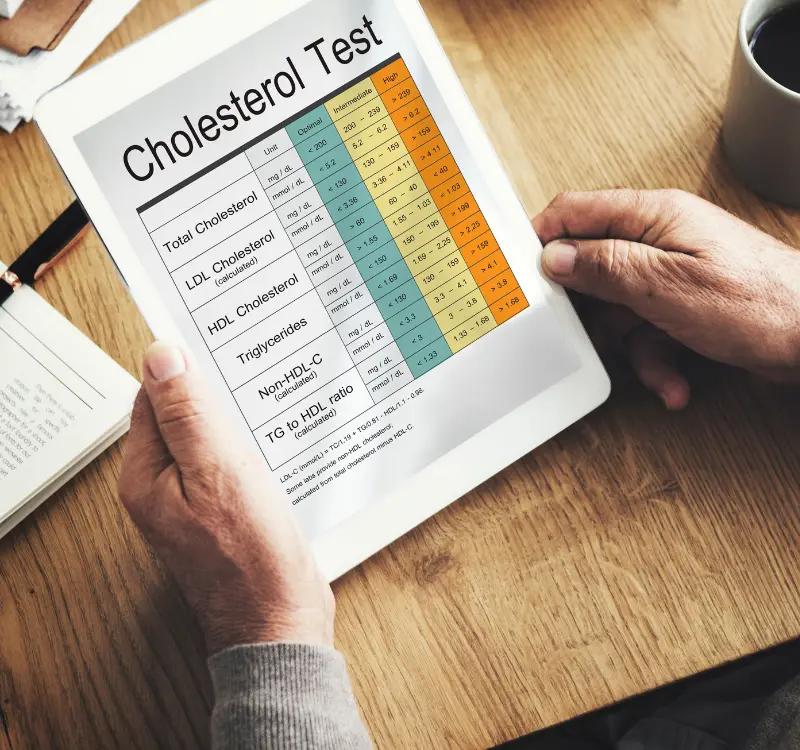 Cholesterol levels: Ayurvedic Medicine for Cholesterol