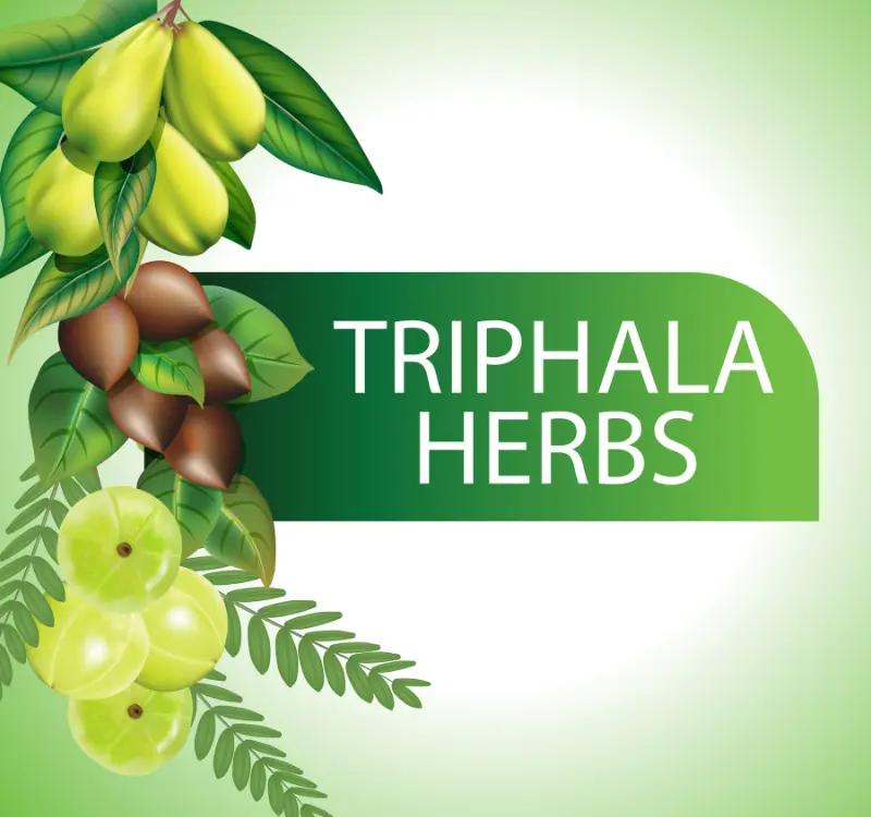 Triphala Churna For Skin: Benefits and Uses